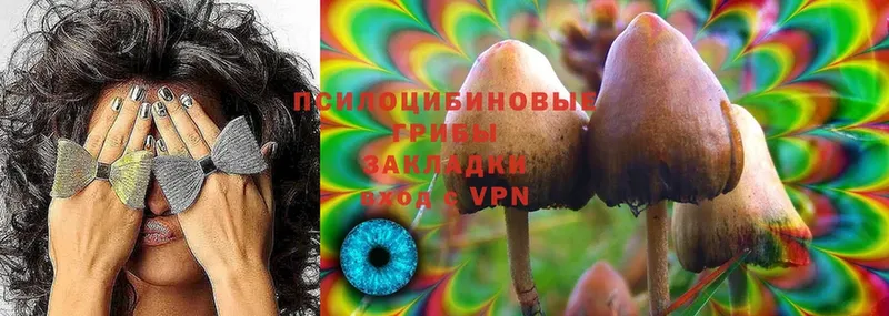 Псилоцибиновые грибы Magic Shrooms  Уржум 